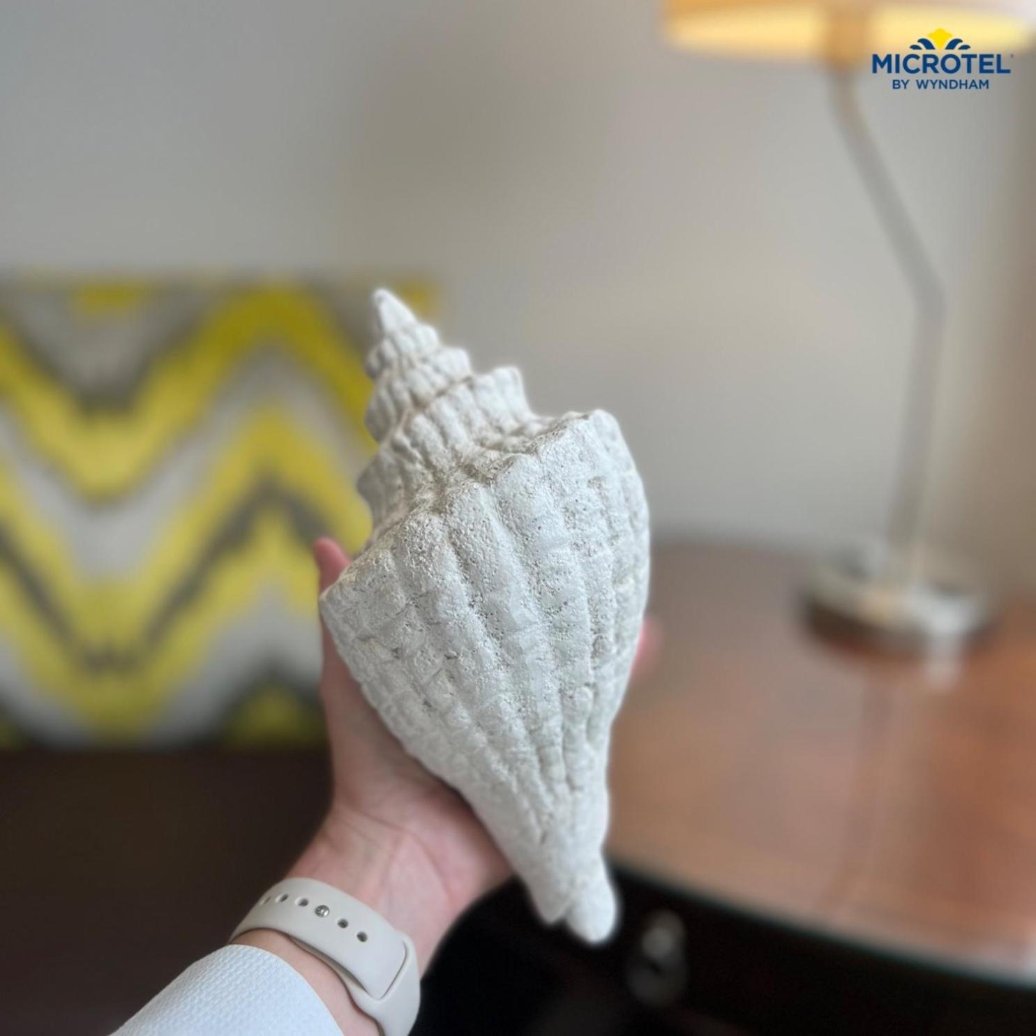 Microtel Inn & Suites By Wyndham Corpus Christi/ארנזאס פאס מראה חיצוני תמונה